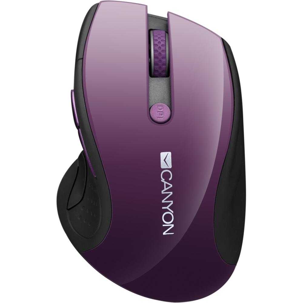 Mouse Canyon CNS-CMSW01P, Wireless, Mov