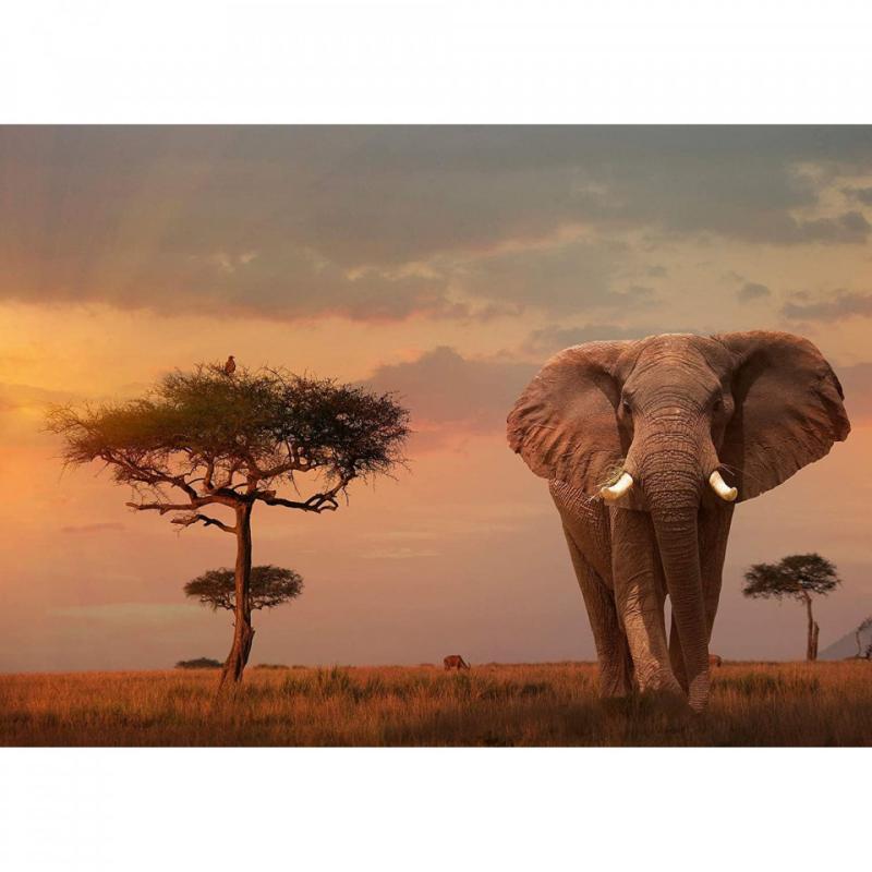 Puzzle Elefant In Masai Mara, 1000 Piese