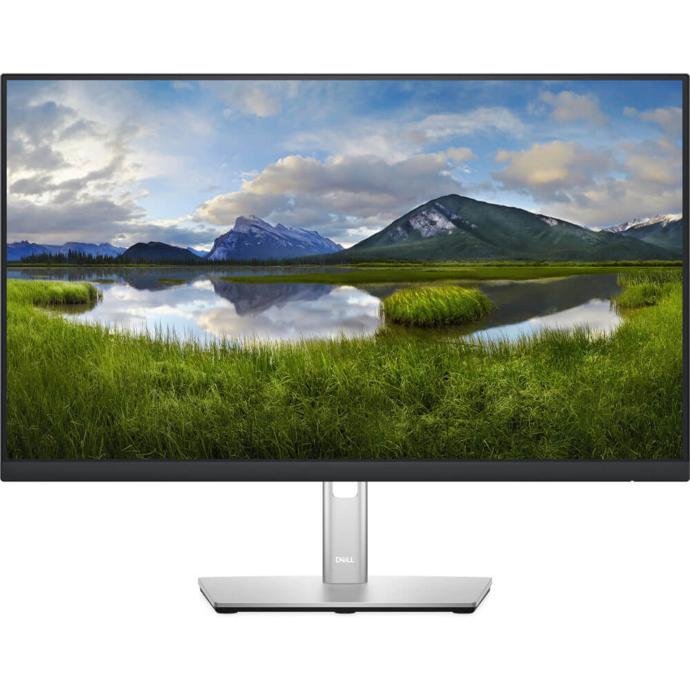 Monitor LED Dell P2422HE, 23.8", Full HD, USB HUB, DisplayPort, Argintiu