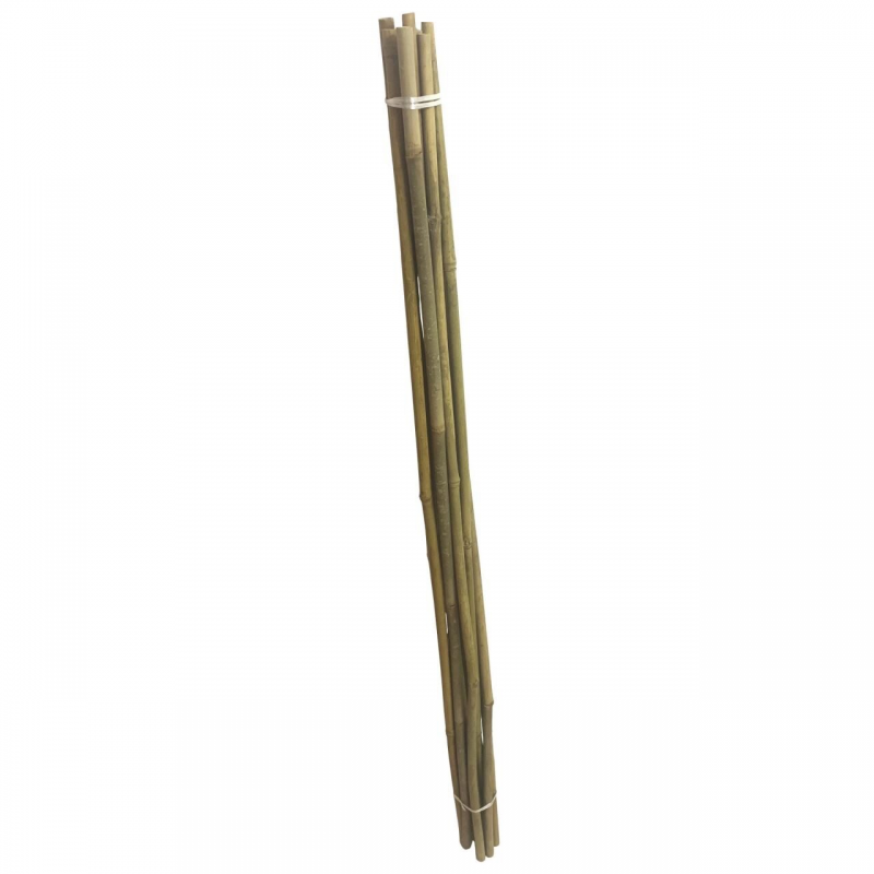  Set 10 araci din bambus Strend Pro Premium, lungime 1500 mm, diametru 14-16 mm 