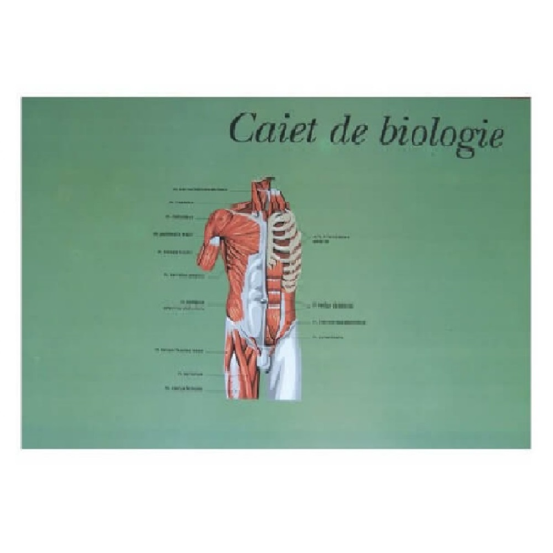  Caiet Biologie Format A4, 24 File, Dictando, Veline 