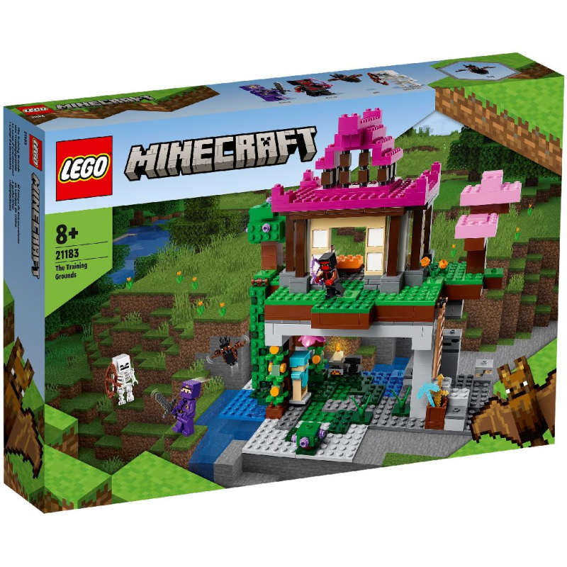 LEGO Minecraft - Terenul de Antrenament 21183