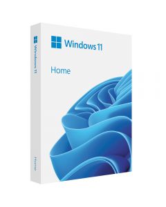 Microsoft Windows 11 Home_1