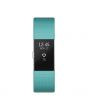Smartband Fitness Fitbit Charge 2, Large, Bleu/Argintiu