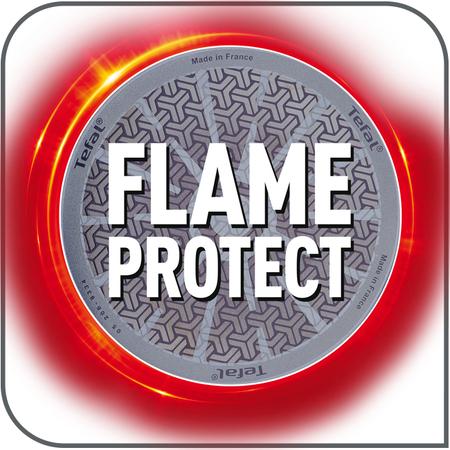 Tehnologia Flame Protect