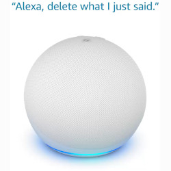 Alexa poate sterge informatiile rostite