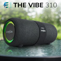 The Vibe 310
