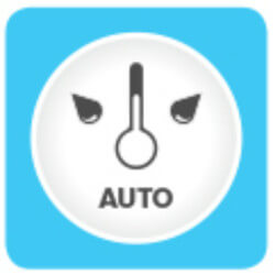 program auto_smart