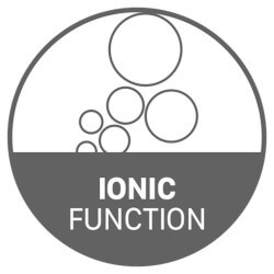 Functie ionica