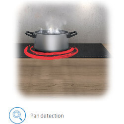 Pan detection