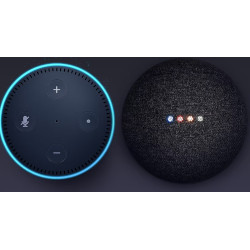 Control vocal cu Alexa si Google Assistant