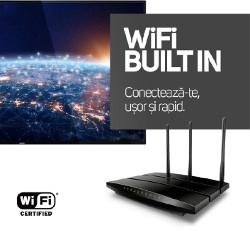 WiFi integrat